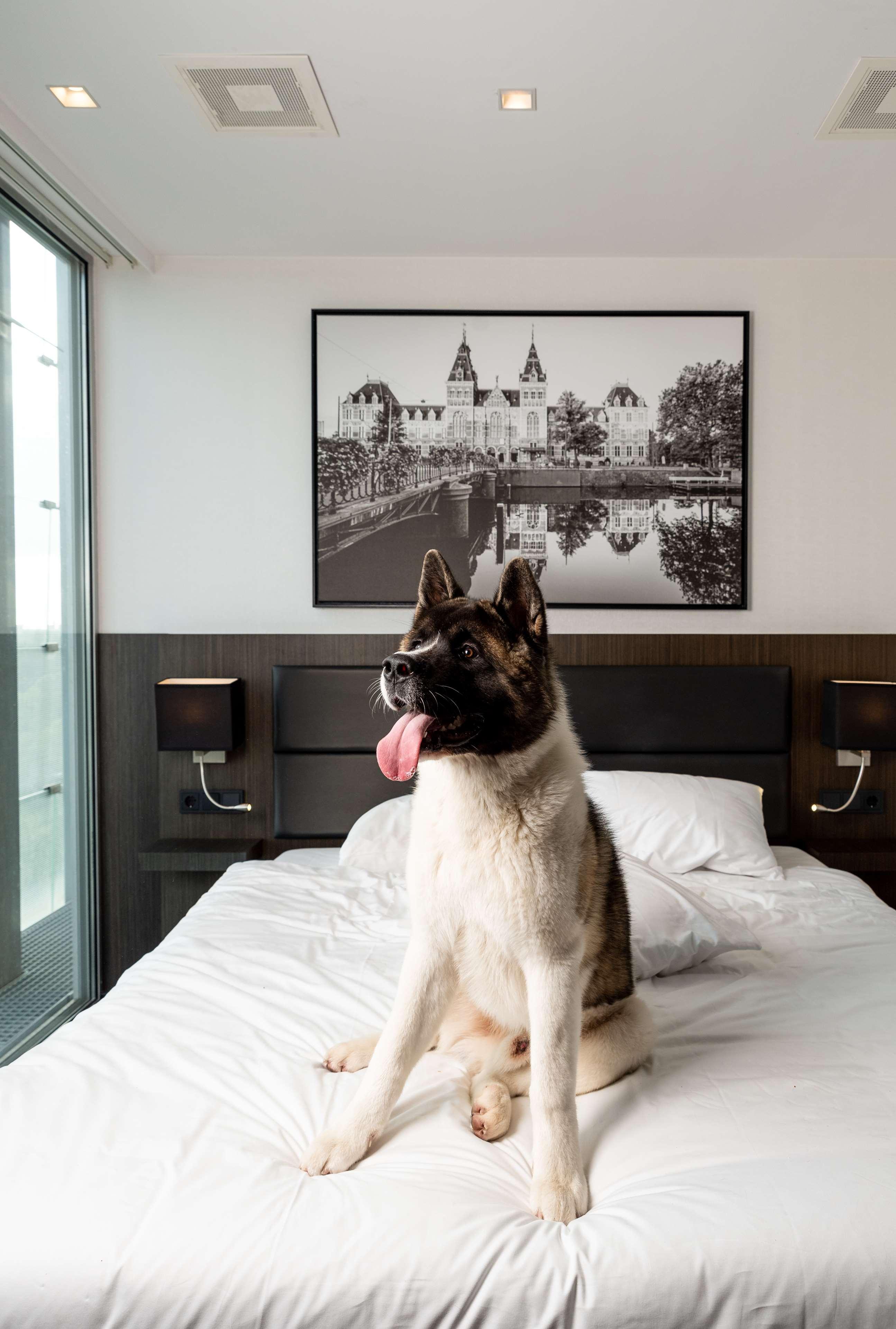 Radisson Hotel And Suites Amsterdam South Bagian luar foto